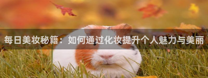 笔趣书阁破解版