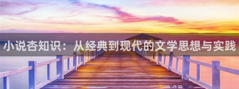 笔趣书阁小说阅读：小说杏知识：从经典到现代的文学思想与实践