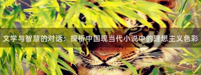 笔趣书阁红色版：文学与智慧的对话：探析中国现当代小说中的理想主义色彩