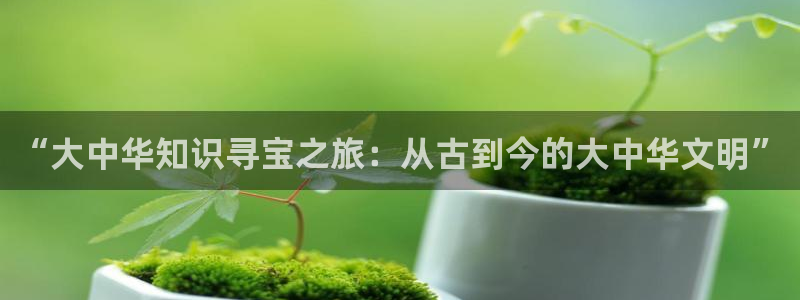 沉欢sun1998郁晟儒趣书：“大中华知识寻宝之旅：从古到今的大中华文明”