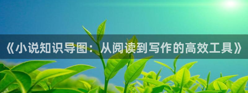 笔趣书：《小说知识导图：从阅读到写作的高效工具》