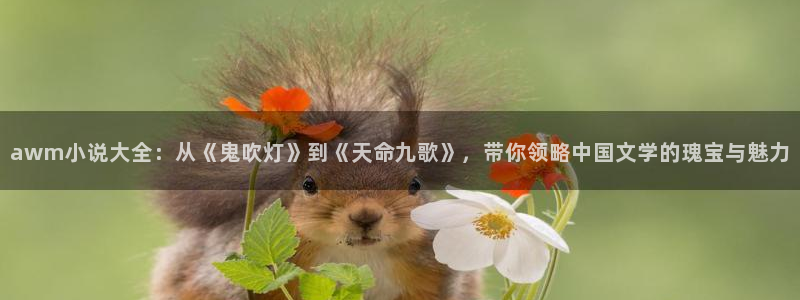 笔趣书阁官网
