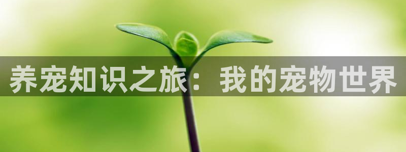 笔趣书阁免费下载