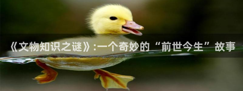 笔趣书阁txt