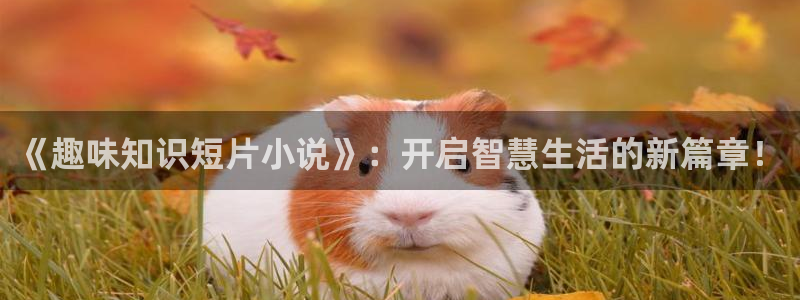 趣书网qubook