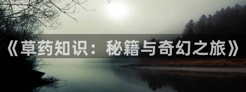 笔趣书阁小说阅读：《草药知识：秘籍与奇幻之旅》
