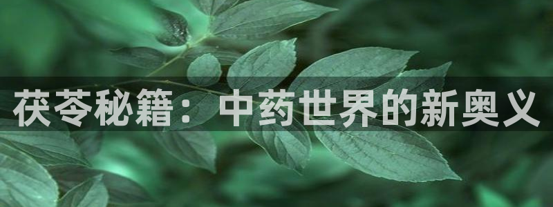 趣书网txt下载全文：茯苓秘籍：中药世界的新奥义