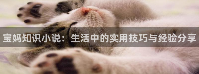 笔趣书阁官网：宝妈知识小说：生活中的实用技巧与经验分享
